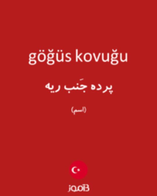  تصویر göğüs kovuğu - دیکشنری انگلیسی بیاموز