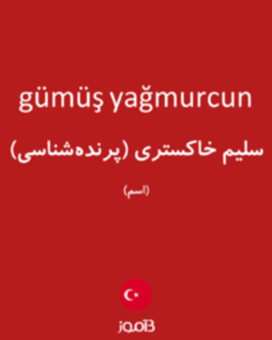  تصویر gümüş yağmurcun - دیکشنری انگلیسی بیاموز