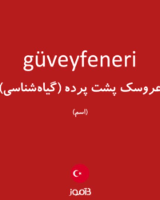  تصویر güveyfeneri - دیکشنری انگلیسی بیاموز