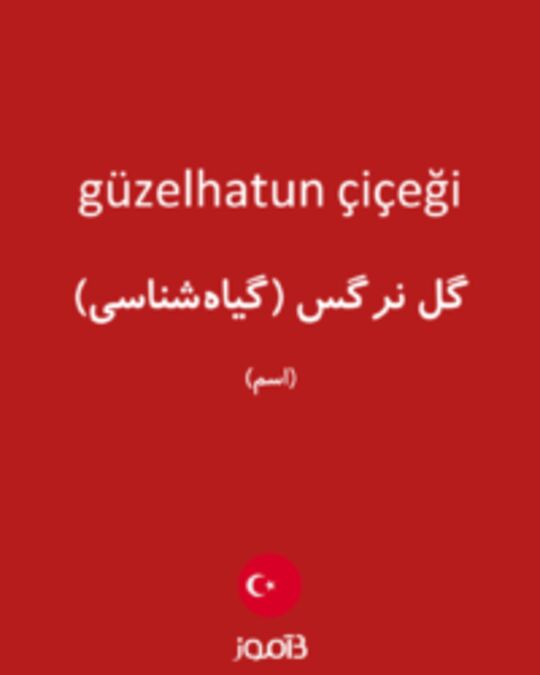  تصویر güzelhatun çiçeği - دیکشنری انگلیسی بیاموز