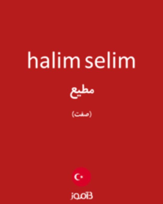  تصویر halim selim - دیکشنری انگلیسی بیاموز