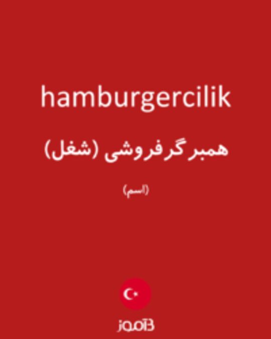  تصویر hamburgercilik - دیکشنری انگلیسی بیاموز