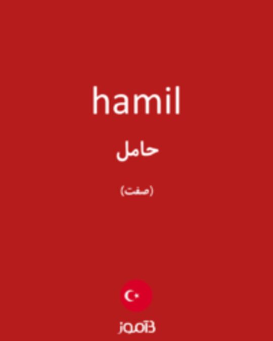  تصویر hamil - دیکشنری انگلیسی بیاموز