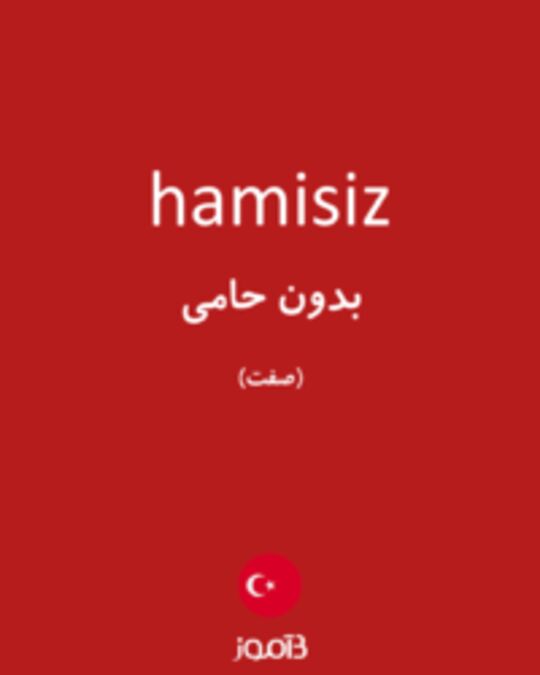  تصویر hamisiz - دیکشنری انگلیسی بیاموز