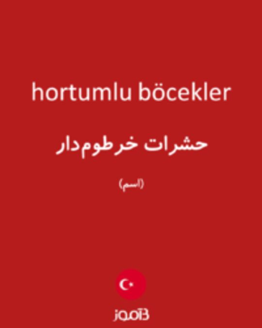  تصویر hortumlu böcekler - دیکشنری انگلیسی بیاموز