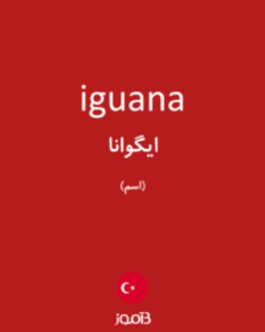  تصویر iguana - دیکشنری انگلیسی بیاموز