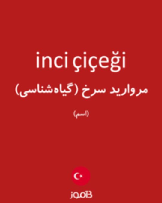  تصویر inci çiçeği - دیکشنری انگلیسی بیاموز