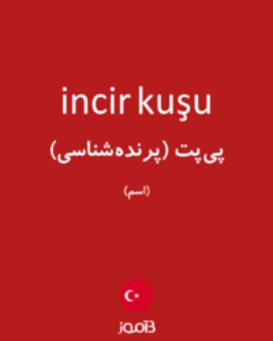  تصویر incir kuşu - دیکشنری انگلیسی بیاموز