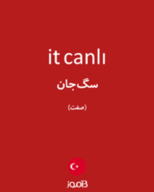  تصویر it canlı - دیکشنری انگلیسی بیاموز