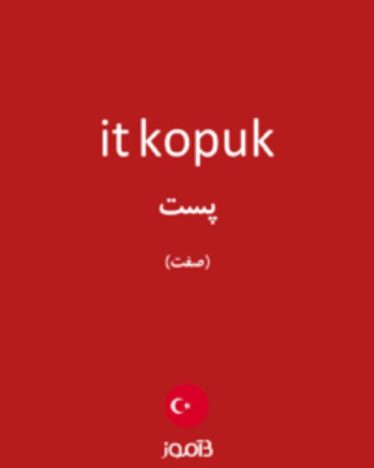  تصویر it kopuk - دیکشنری انگلیسی بیاموز