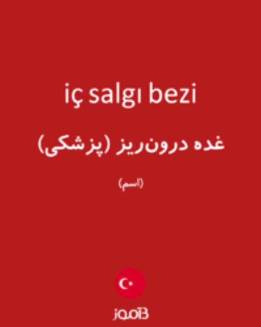  تصویر iç salgı bezi - دیکشنری انگلیسی بیاموز