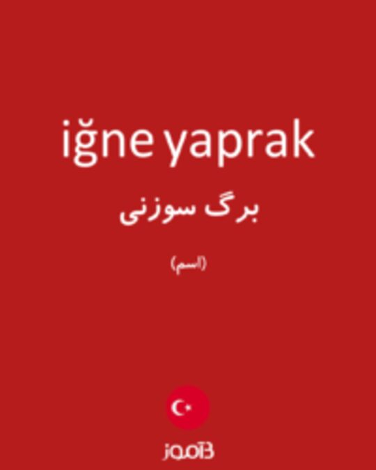  تصویر iğne yaprak - دیکشنری انگلیسی بیاموز