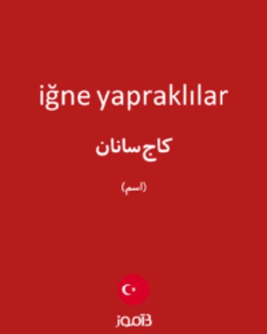  تصویر iğne yapraklılar - دیکشنری انگلیسی بیاموز