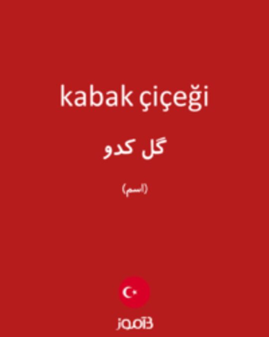  تصویر kabak çiçeği - دیکشنری انگلیسی بیاموز