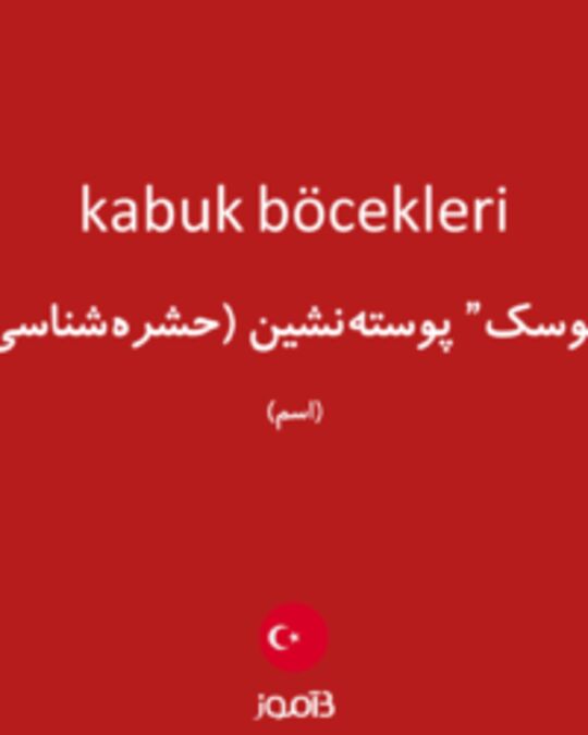  تصویر kabuk böcekleri - دیکشنری انگلیسی بیاموز