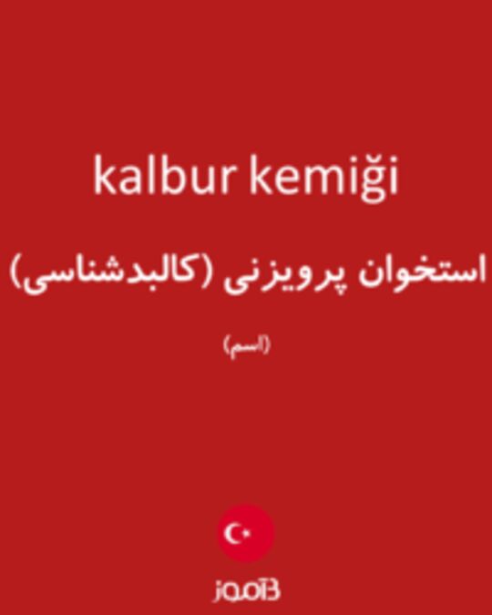  تصویر kalbur kemiği - دیکشنری انگلیسی بیاموز