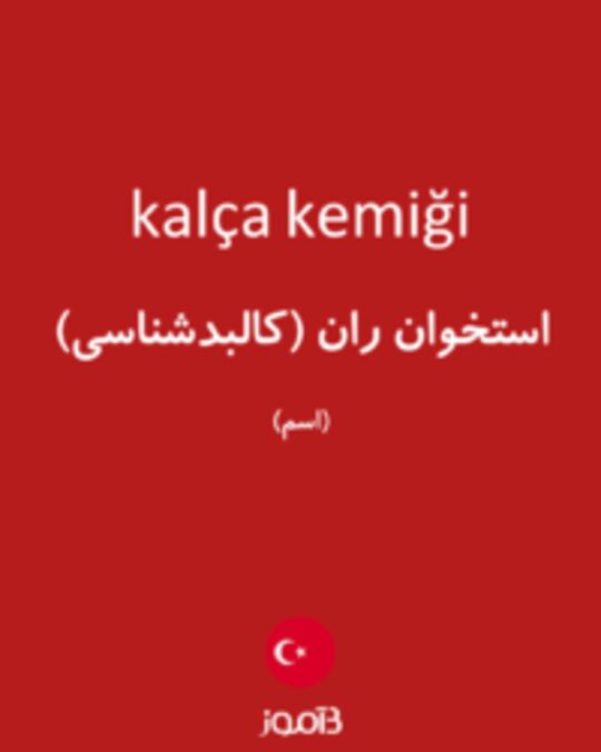  تصویر kalça kemiği - دیکشنری انگلیسی بیاموز