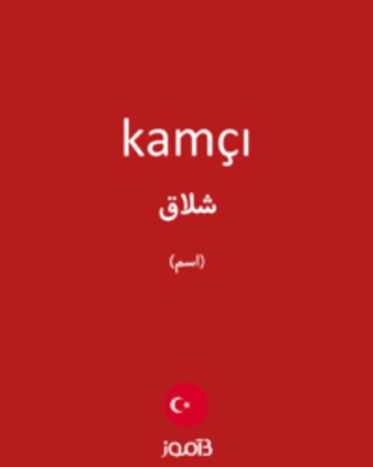  تصویر kamçı - دیکشنری انگلیسی بیاموز