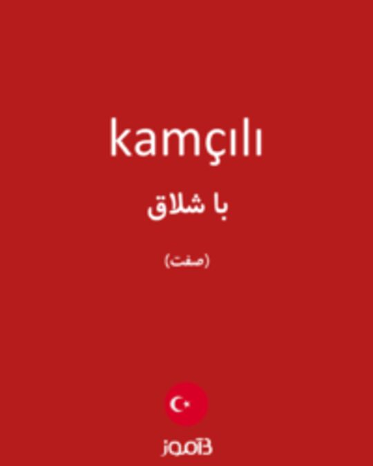  تصویر kamçılı - دیکشنری انگلیسی بیاموز