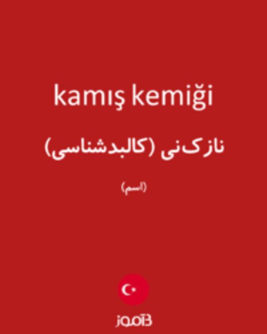  تصویر kamış kemiği - دیکشنری انگلیسی بیاموز