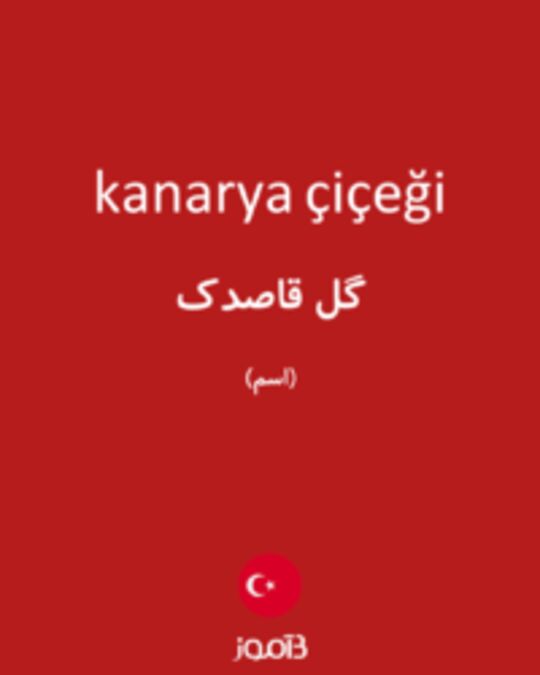  تصویر kanarya çiçeği - دیکشنری انگلیسی بیاموز