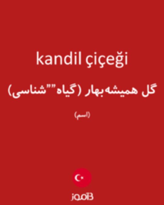  تصویر kandil çiçeği - دیکشنری انگلیسی بیاموز