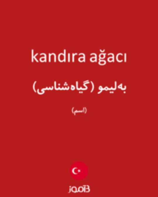  تصویر kandıra ağacı - دیکشنری انگلیسی بیاموز