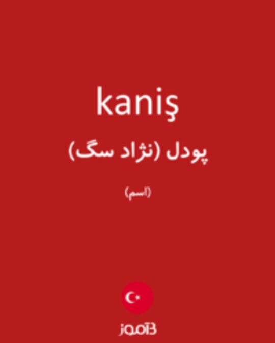  تصویر kaniş - دیکشنری انگلیسی بیاموز