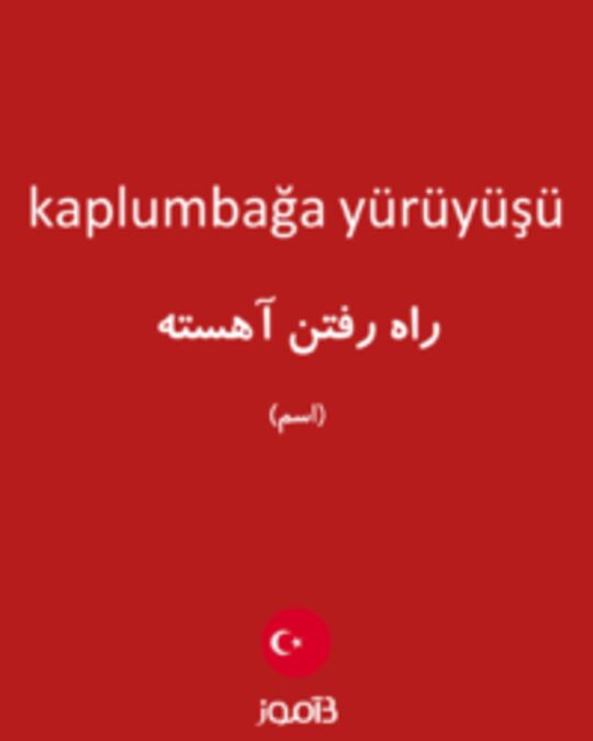  تصویر kaplumbağa yürüyüşü - دیکشنری انگلیسی بیاموز