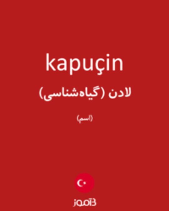  تصویر kapuçin - دیکشنری انگلیسی بیاموز