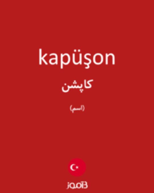  تصویر kapüşon - دیکشنری انگلیسی بیاموز