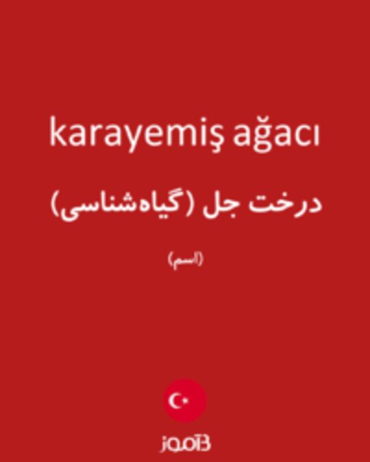  تصویر karayemiş ağacı - دیکشنری انگلیسی بیاموز