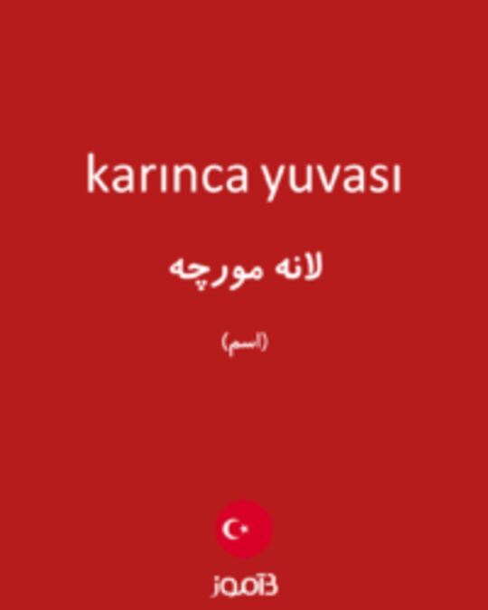  تصویر karınca yuvası - دیکشنری انگلیسی بیاموز