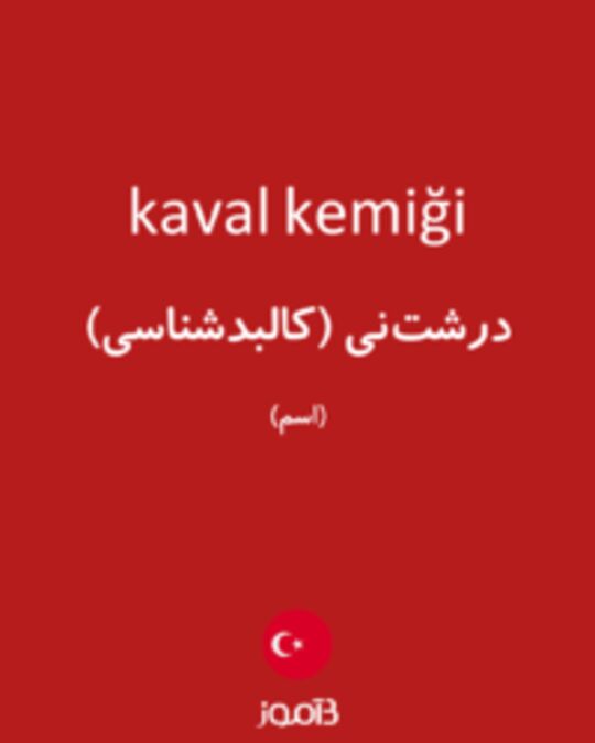  تصویر kaval kemiği - دیکشنری انگلیسی بیاموز