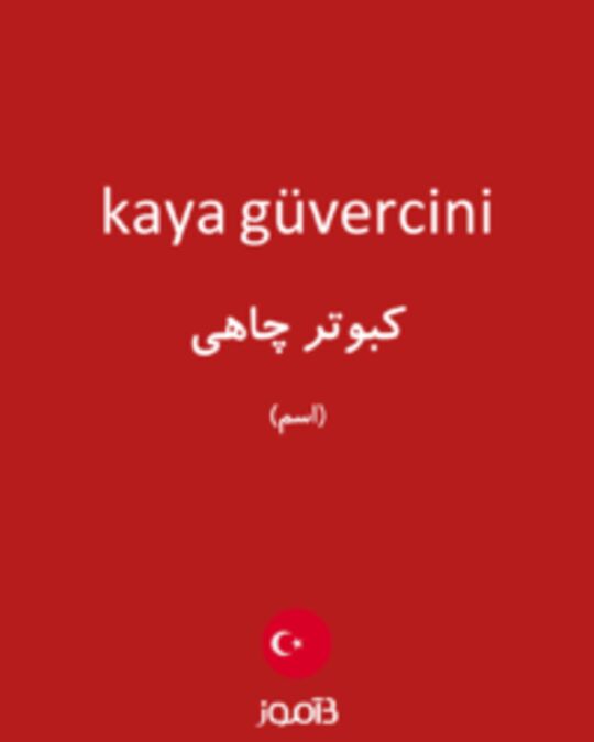  تصویر kaya güvercini - دیکشنری انگلیسی بیاموز