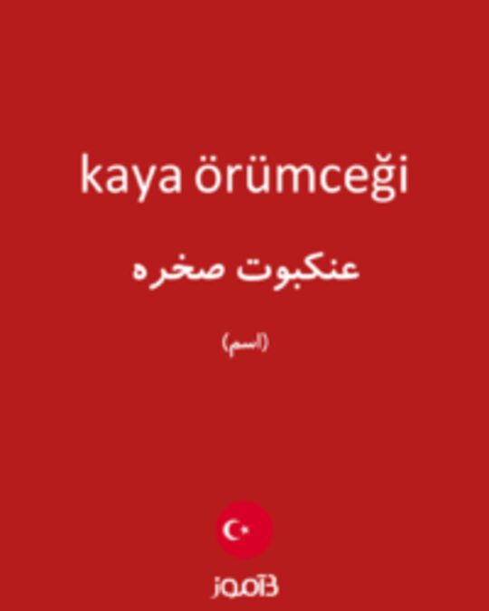  تصویر kaya örümceği - دیکشنری انگلیسی بیاموز