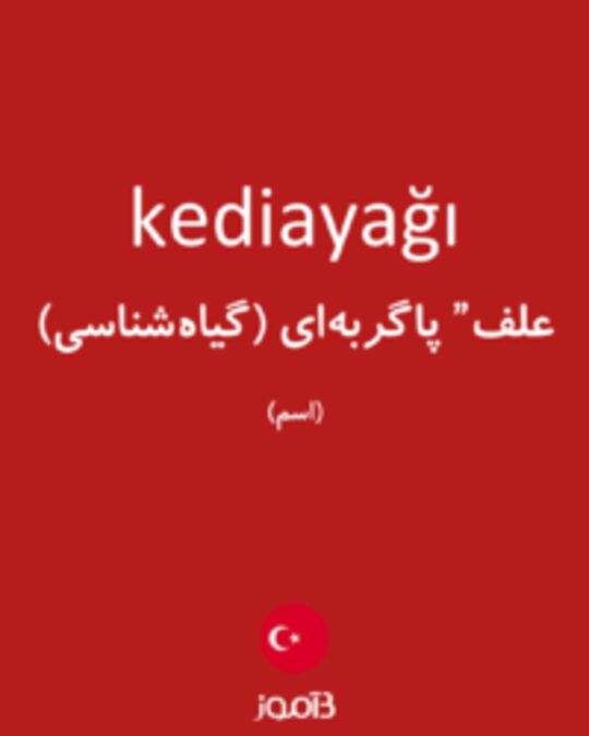  تصویر kediayağı - دیکشنری انگلیسی بیاموز