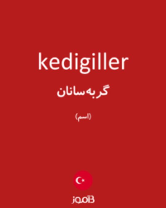  تصویر kedigiller - دیکشنری انگلیسی بیاموز