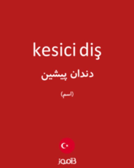  تصویر kesici diş - دیکشنری انگلیسی بیاموز