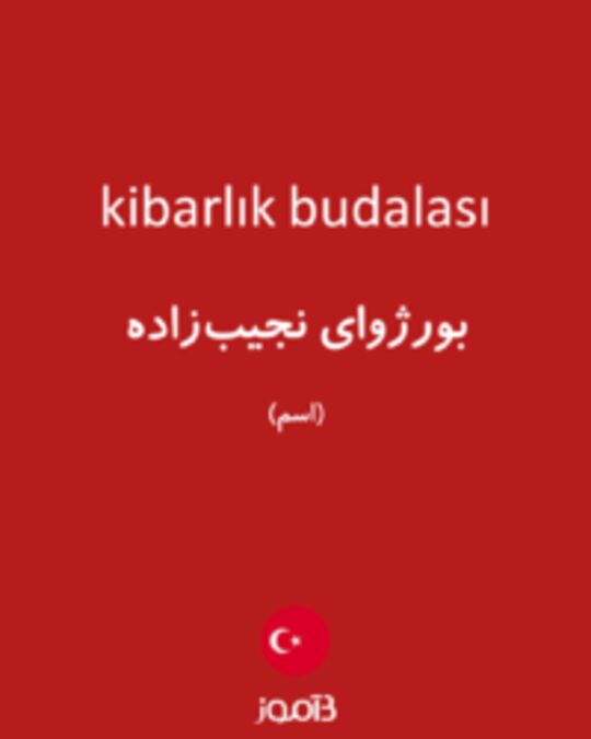  تصویر kibarlık budalası - دیکشنری انگلیسی بیاموز