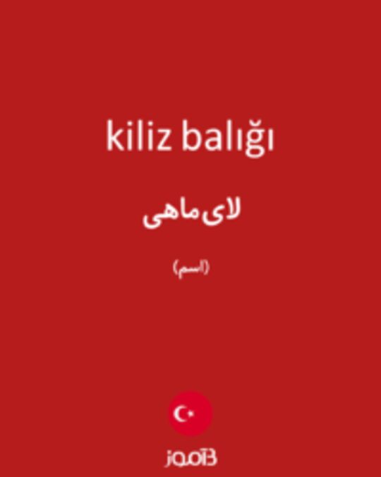  تصویر kiliz balığı - دیکشنری انگلیسی بیاموز