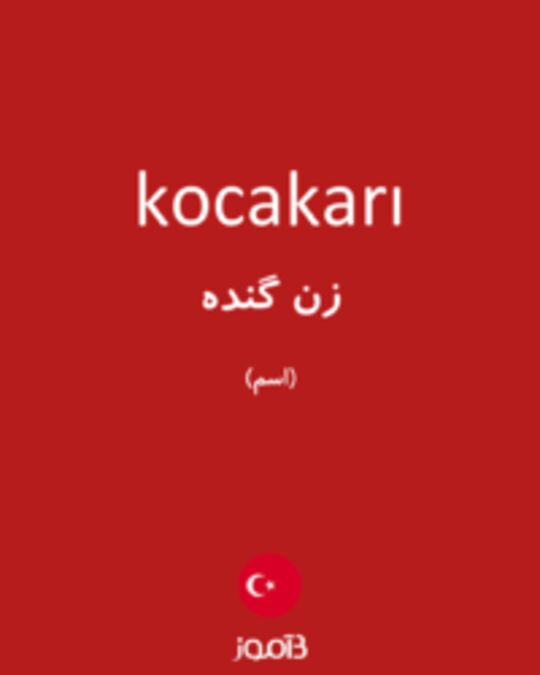  تصویر kocakarı - دیکشنری انگلیسی بیاموز