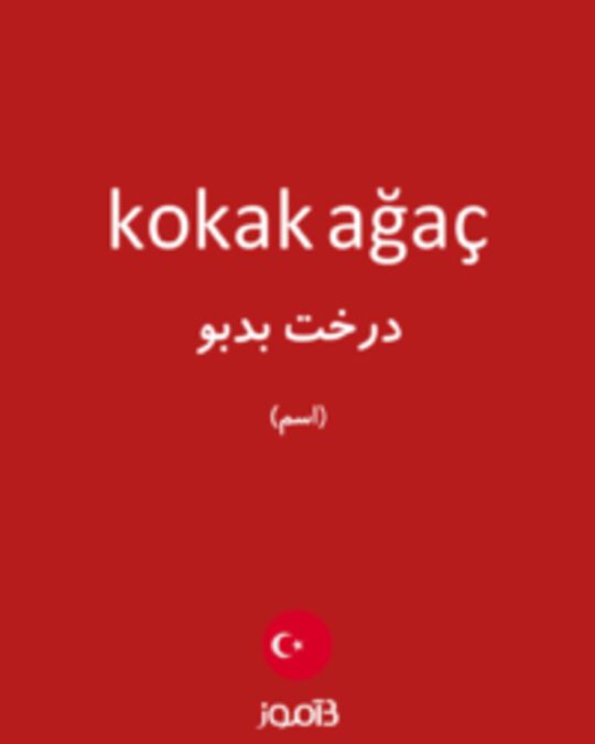  تصویر kokak ağaç - دیکشنری انگلیسی بیاموز