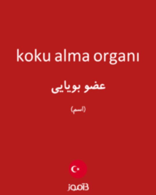  تصویر koku alma organı - دیکشنری انگلیسی بیاموز