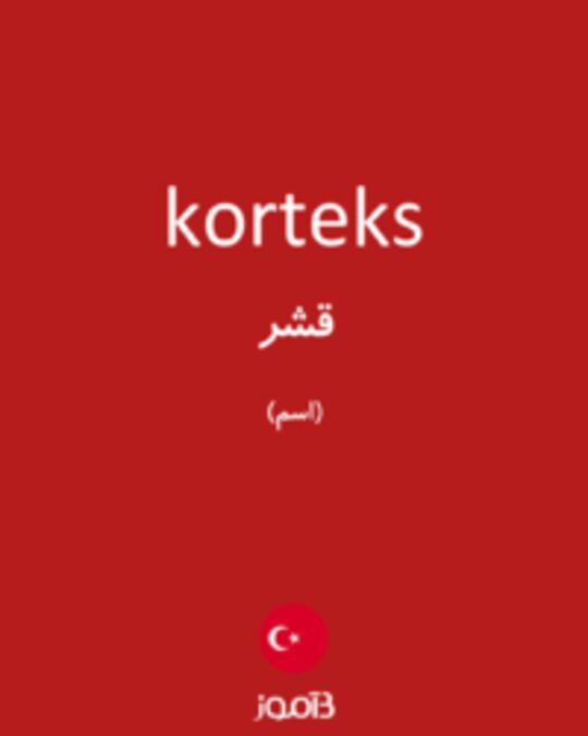  تصویر korteks - دیکشنری انگلیسی بیاموز