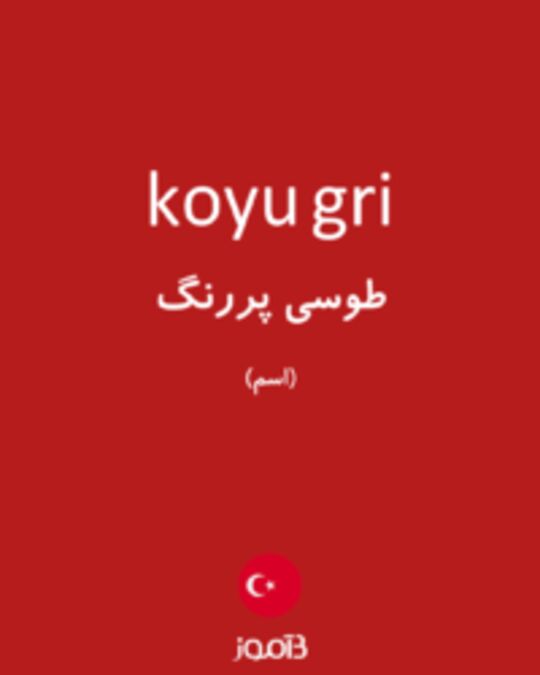  تصویر koyu gri - دیکشنری انگلیسی بیاموز