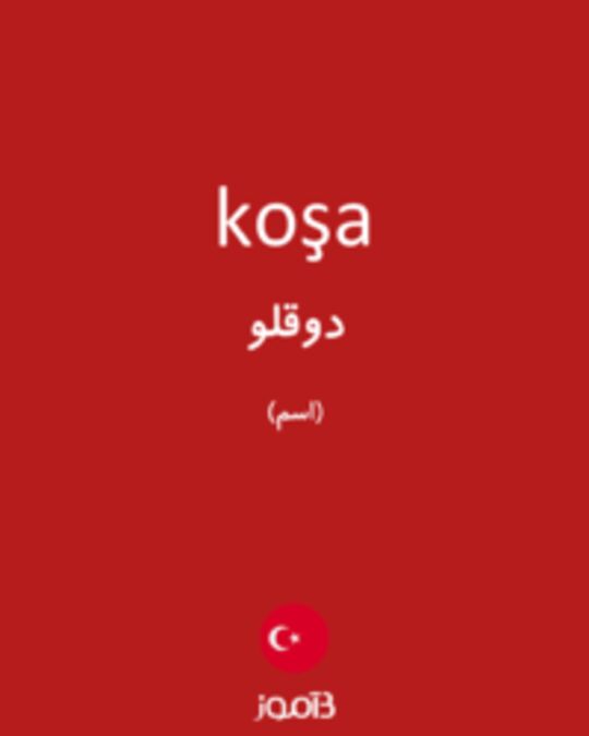  تصویر koşa - دیکشنری انگلیسی بیاموز