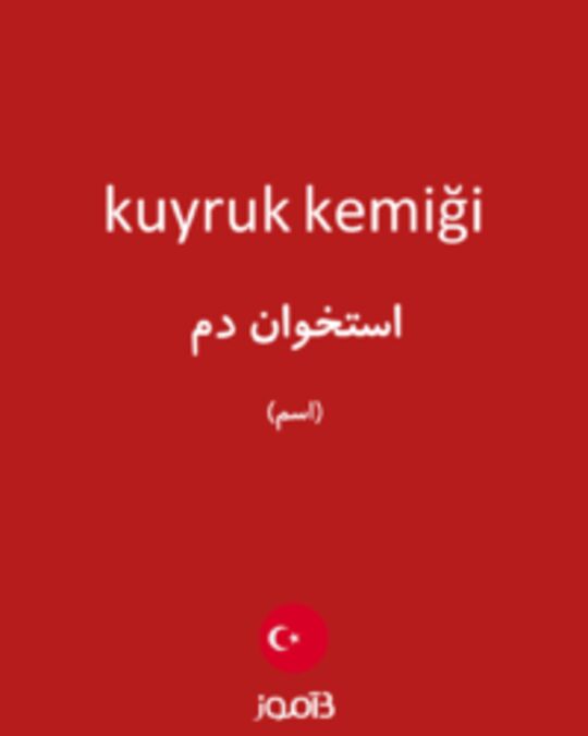  تصویر kuyruk kemiği - دیکشنری انگلیسی بیاموز