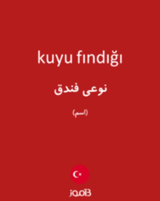  تصویر kuyu fındığı - دیکشنری انگلیسی بیاموز