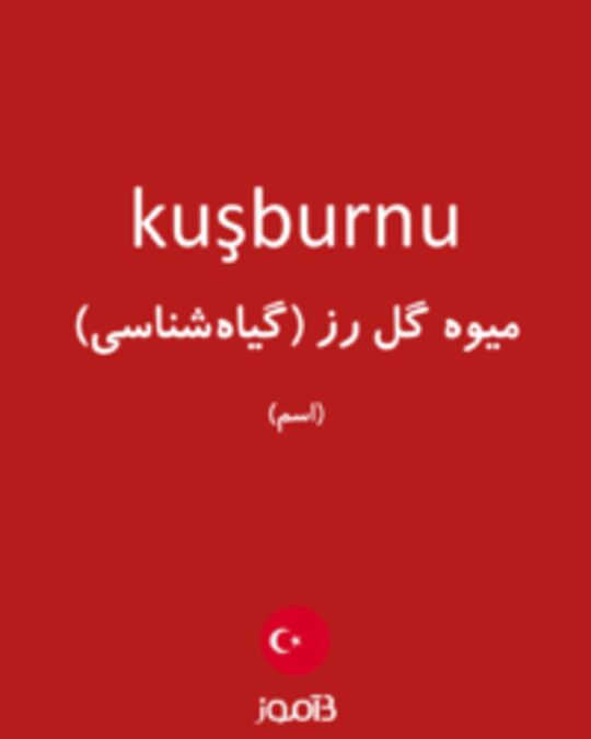  تصویر kuşburnu - دیکشنری انگلیسی بیاموز